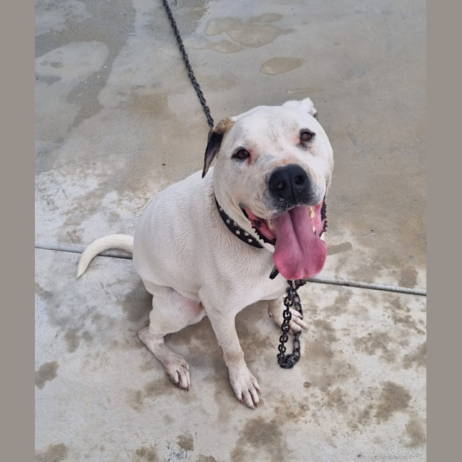 Photo of Zeus 