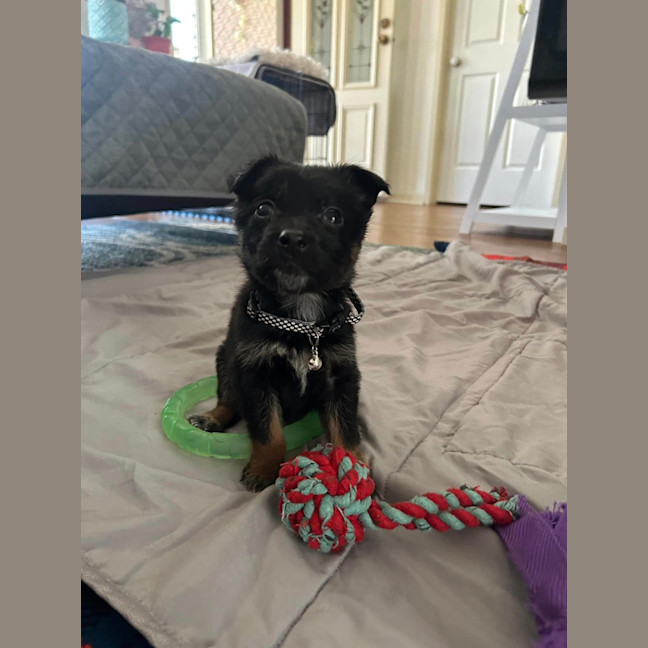 Photo of Truffle