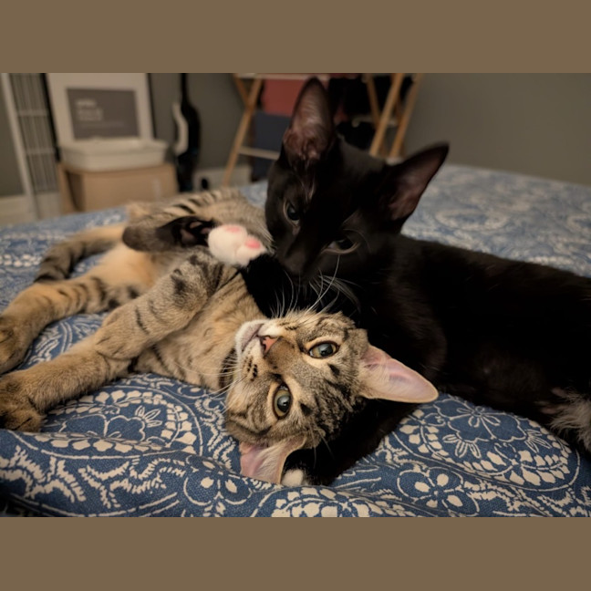 Photo of Millie & Zoe