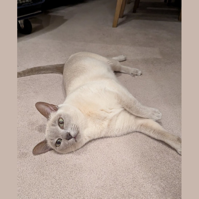 Photo of Justi & Moni