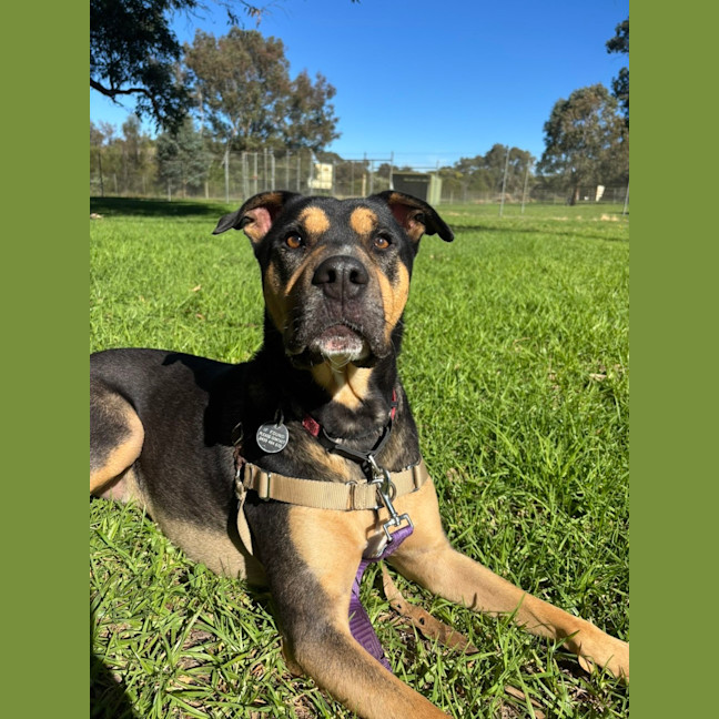 Photo of Tex 
