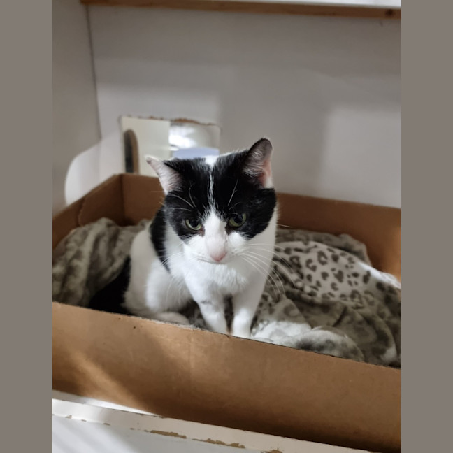 Photo of Betty