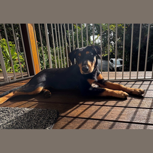 Photo of Charlie