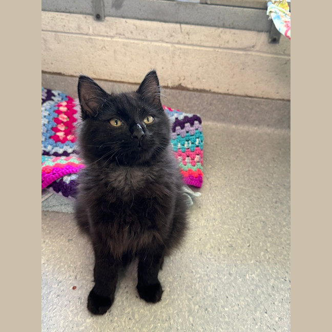 Photo of Sugar
