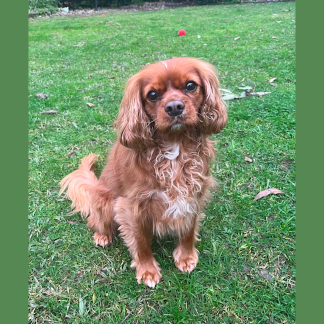 Photo of Toast And Nanna