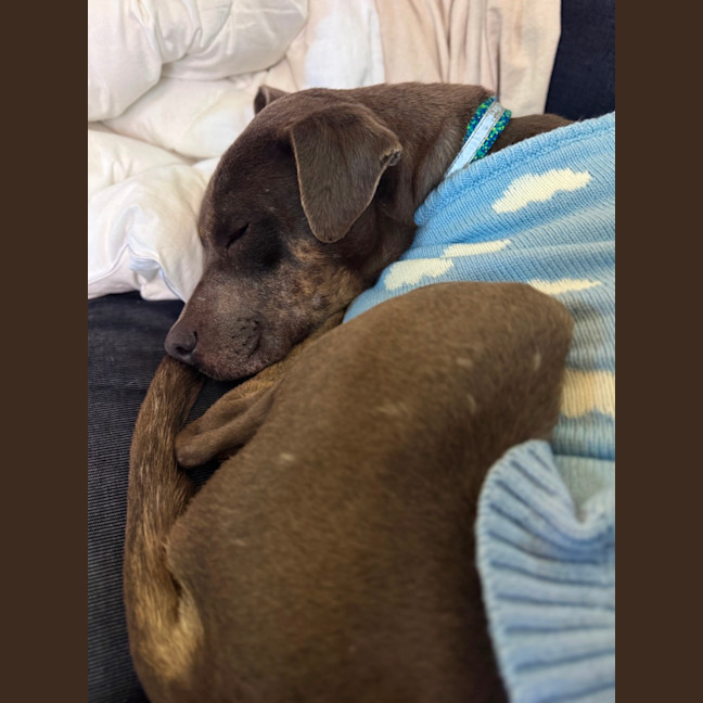 Photo of Sprout 🌱 