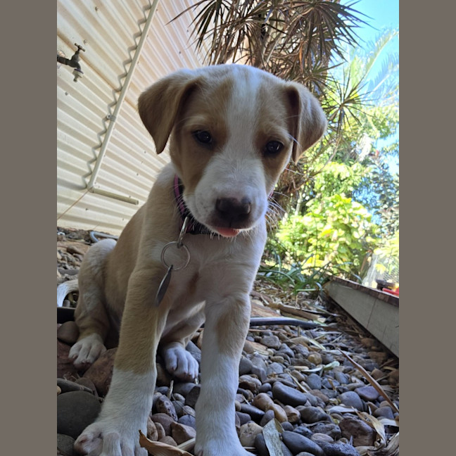 Photo of Jewel