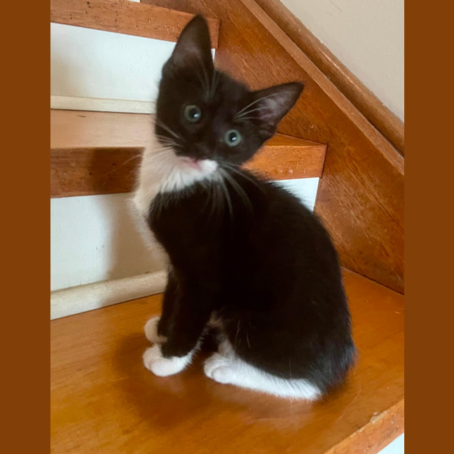 Photo of Lulu