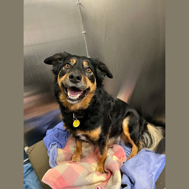 Photo of Millie (Was Gemma)