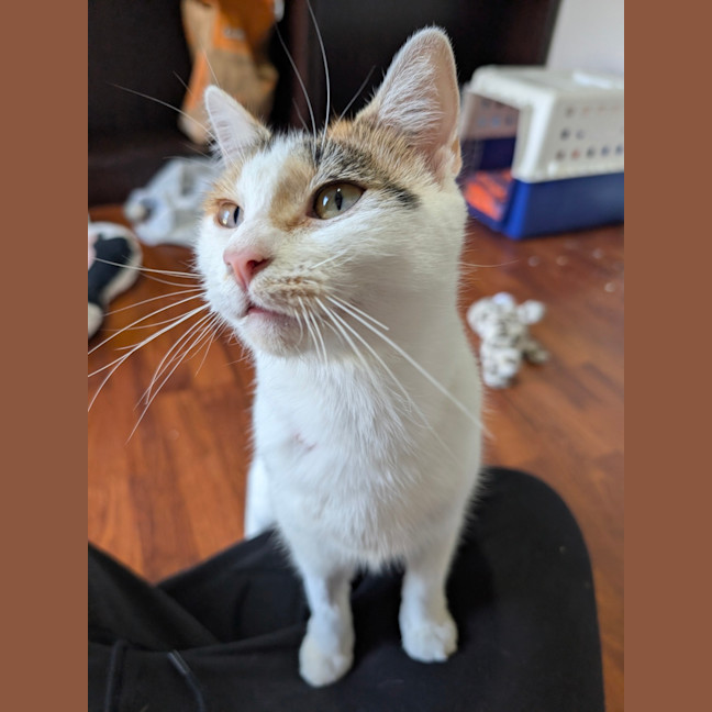 Photo of Freya 