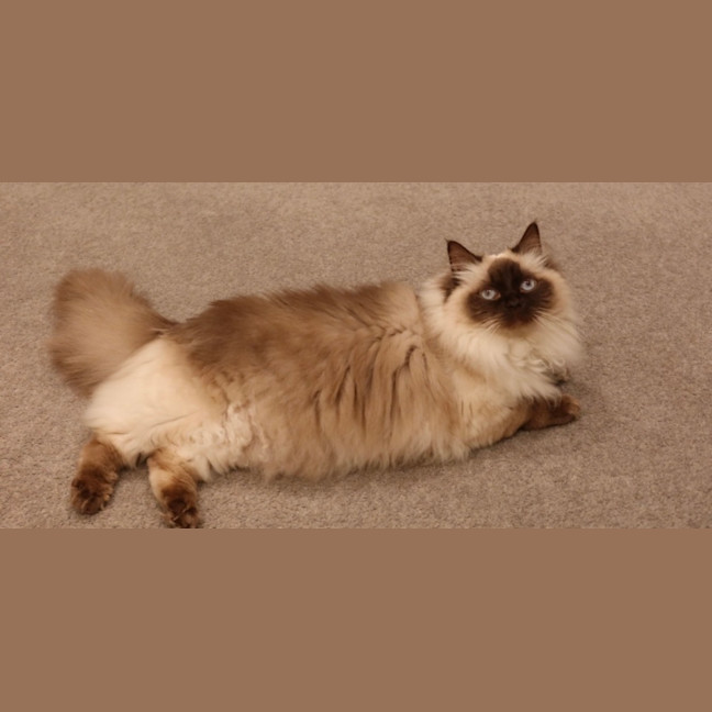 Photo of Evie