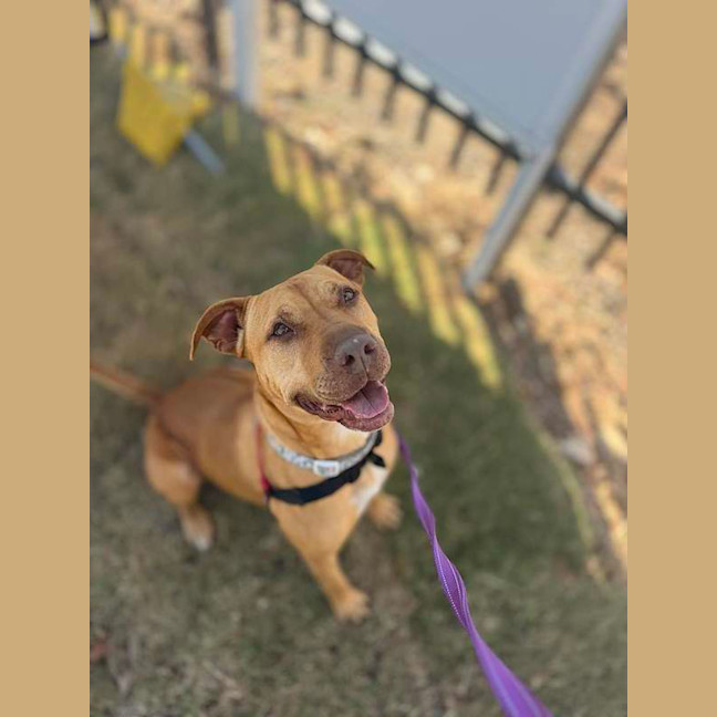 Photo of Rizzo