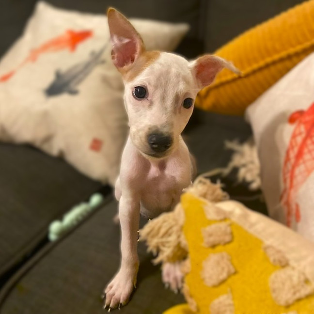 Photo of Lilly