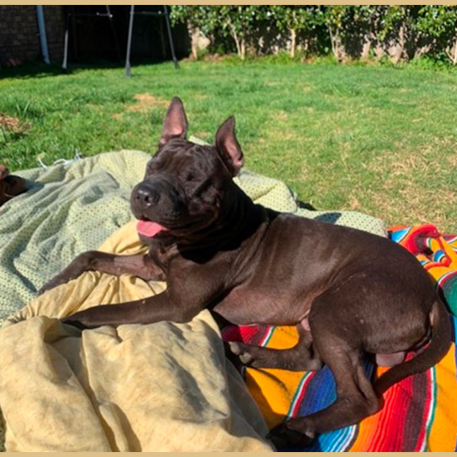 Photo of Wrinkle