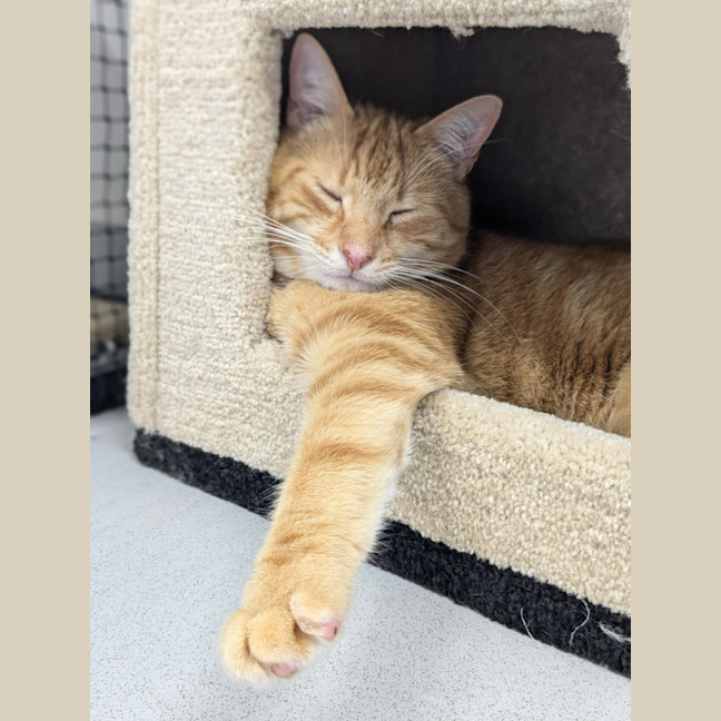 Photo of 🥝 Freddie 5515 🥝