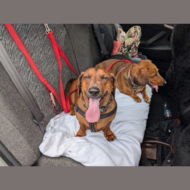 Photo of Harry / Sally