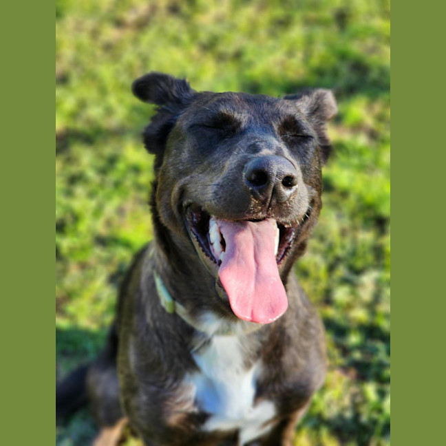 Photo of 🍿 Rory 7089 🍿