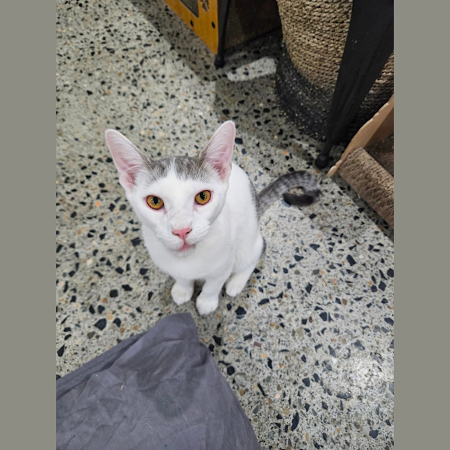 Photo of Cheeky Boy
