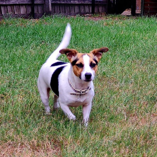 Photo of Coco Newhaven