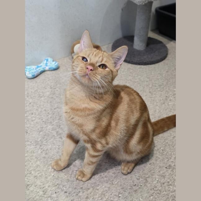Photo of Fury