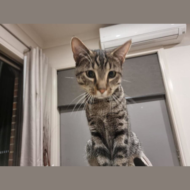 Photo of Willy Moriarty