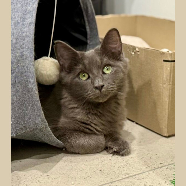 Photo of Mister