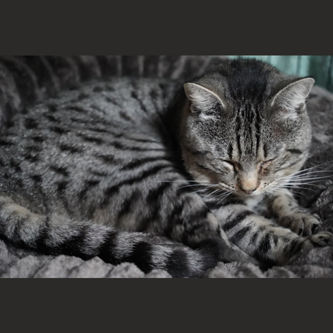 Photo of Tom