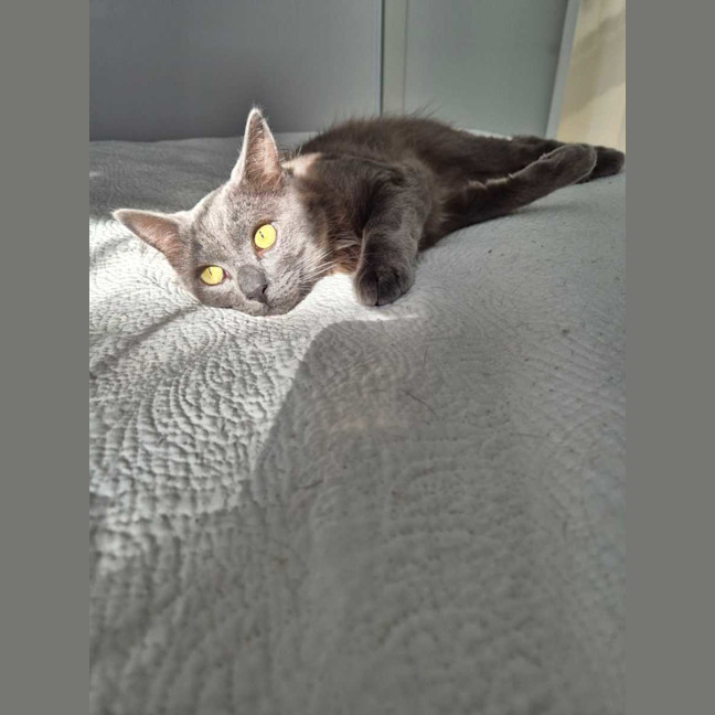 Photo of Simeon (Simmy) 💙