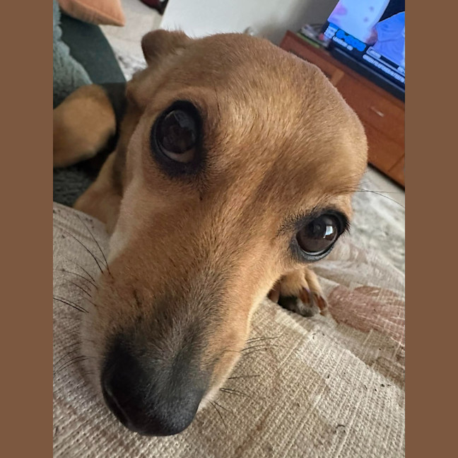Photo of Tilda (Winnie)