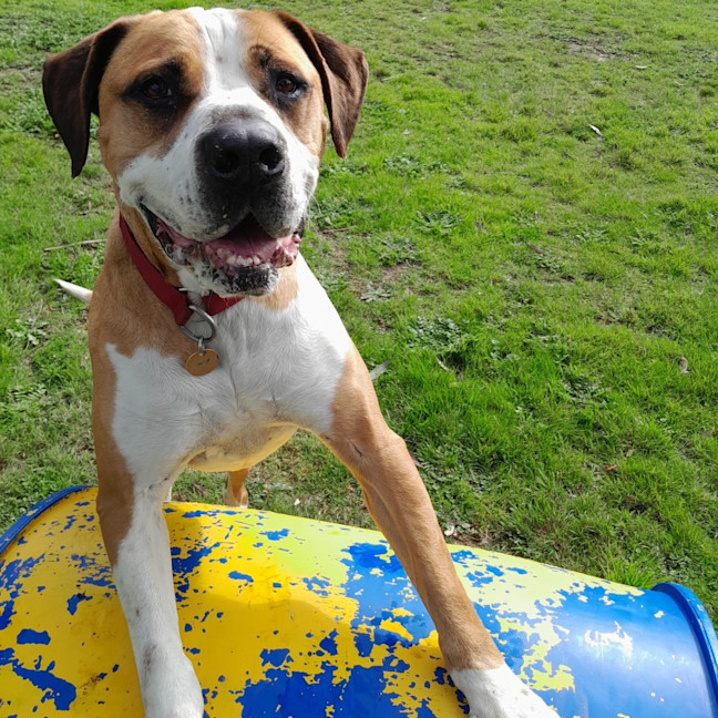 Photo of Ralph