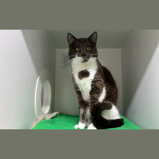 Photo of Teddy