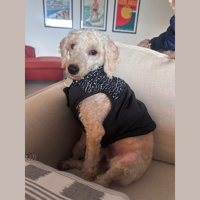Photo of Tilly