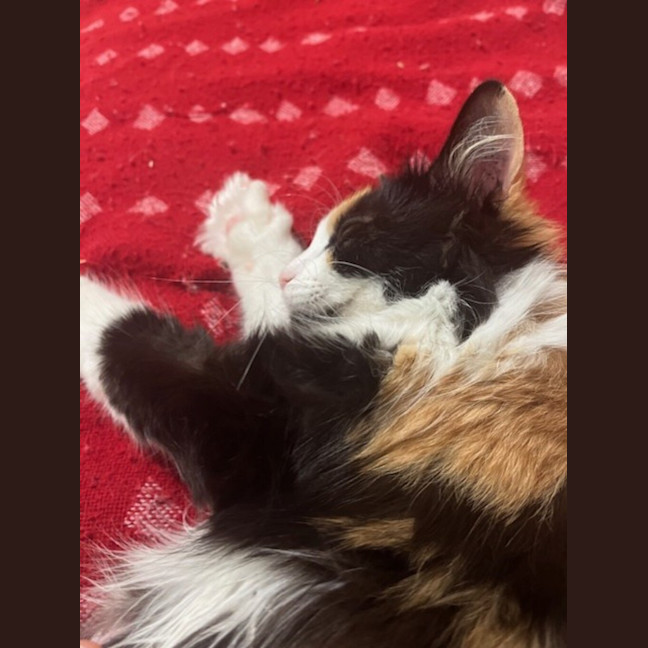 Photo of Edie