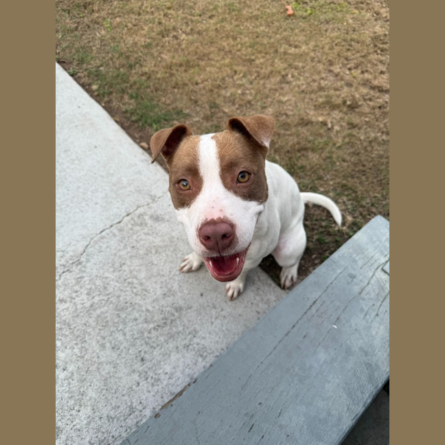 Photo of Bella