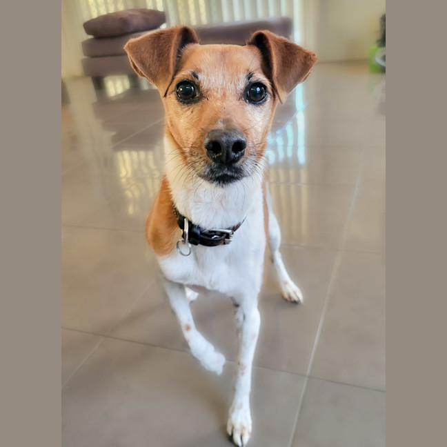 Photo of Sunny 