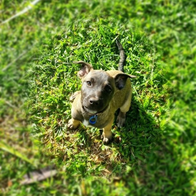 Photo of Elsie