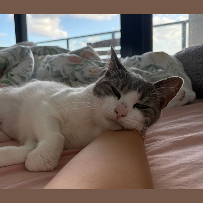 Photo of Alice