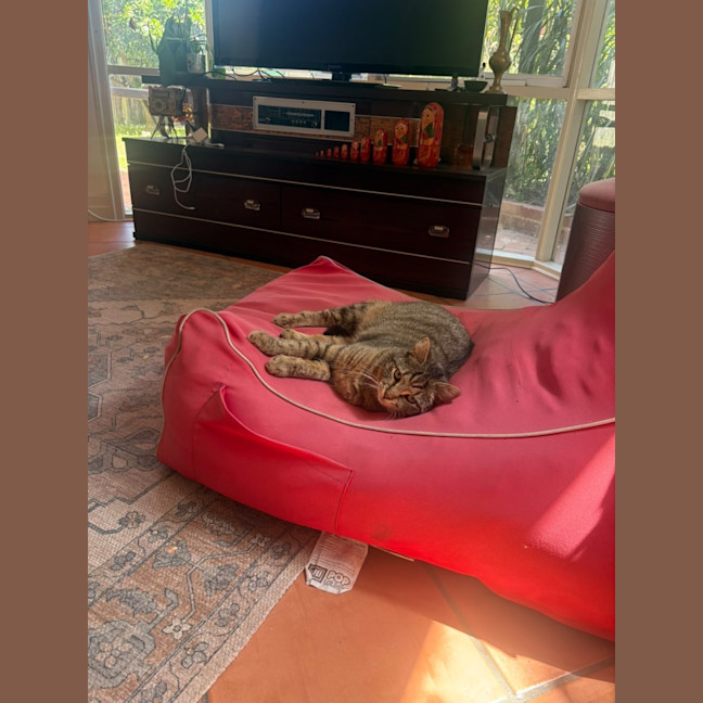 Photo of Peggy