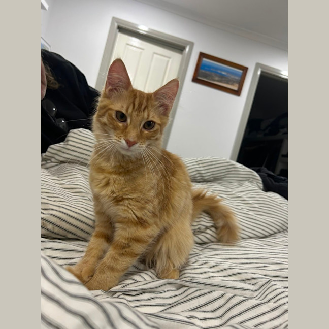 Photo of Alvin