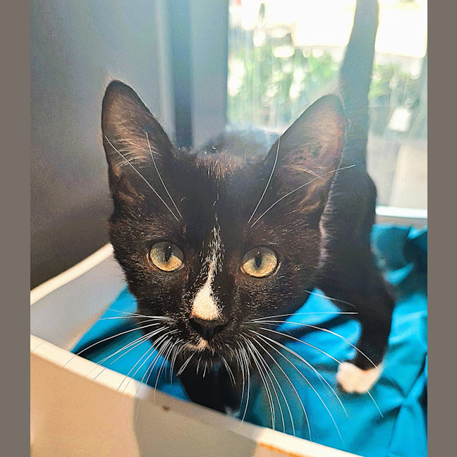 Photo of Twix 