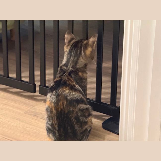 Photo of Cleo