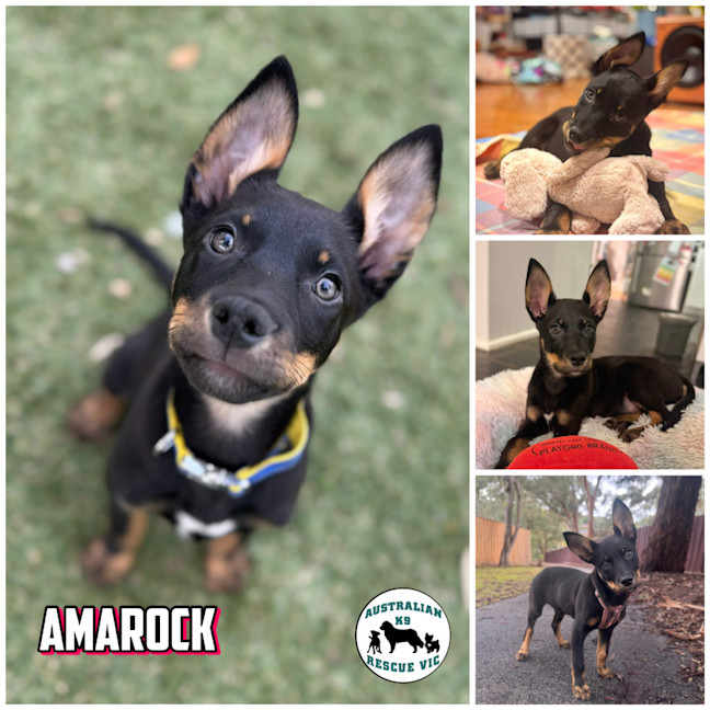 Photo of Amarock