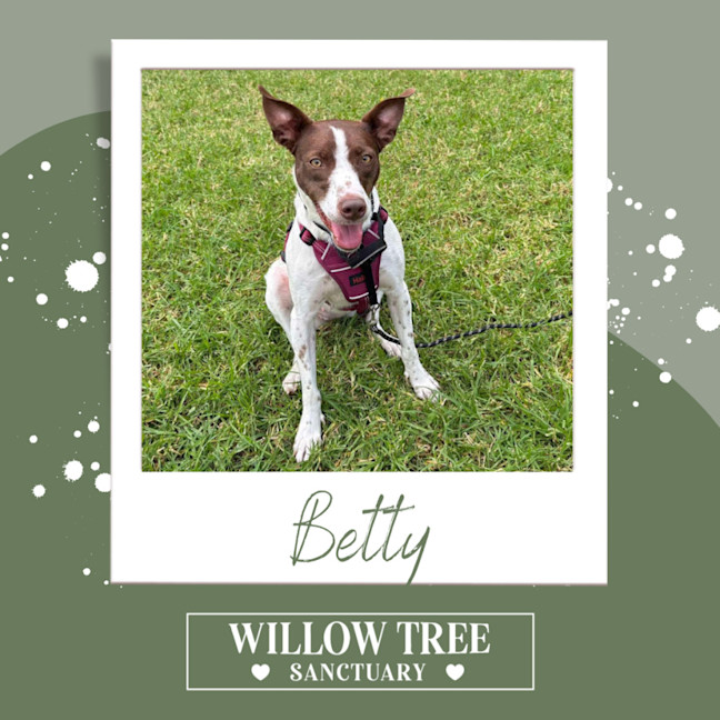 Photo of Betty 