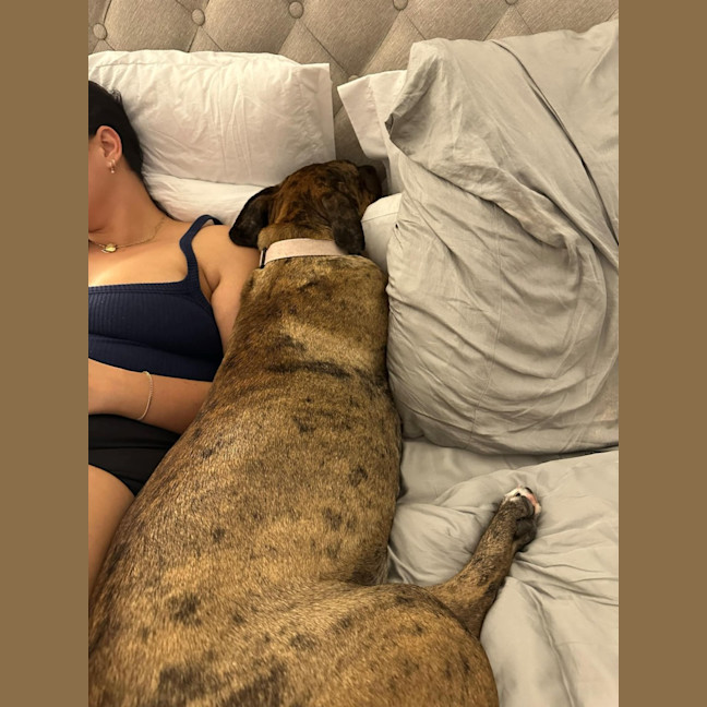 Photo of Lucy