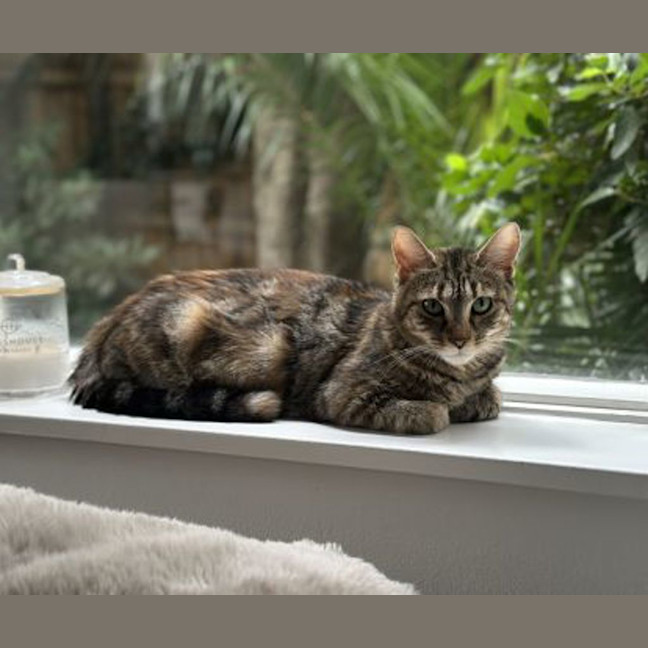 Photo of Zoe