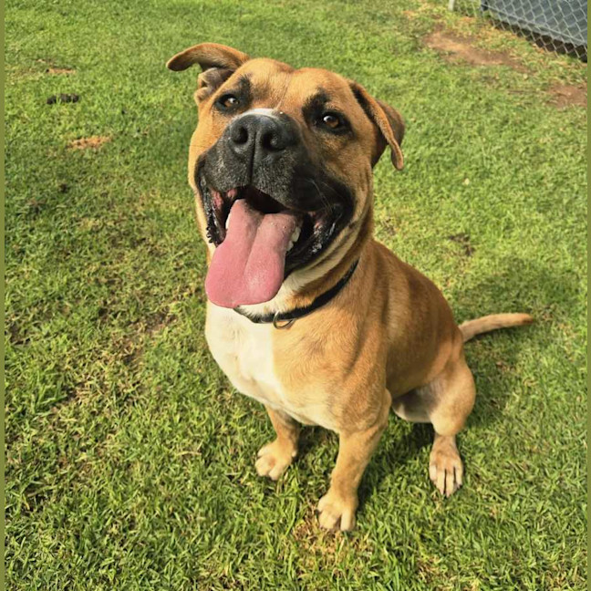 Photo of Ace
