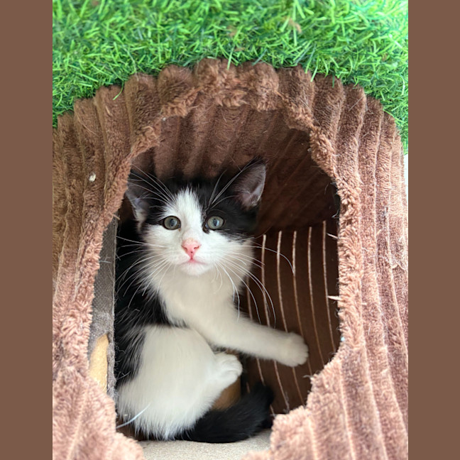 Photo of Salt & Pepper