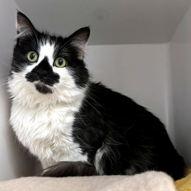 Photo of Brodie Rsuk006393