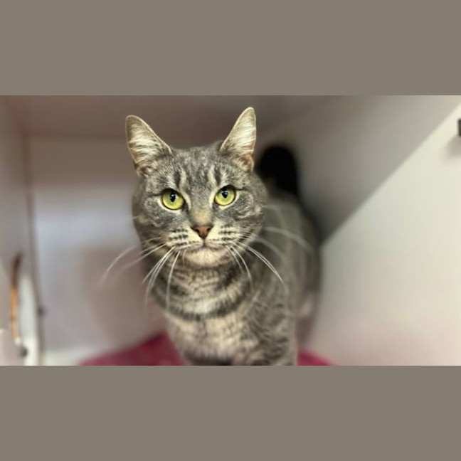 Photo of Ursula 