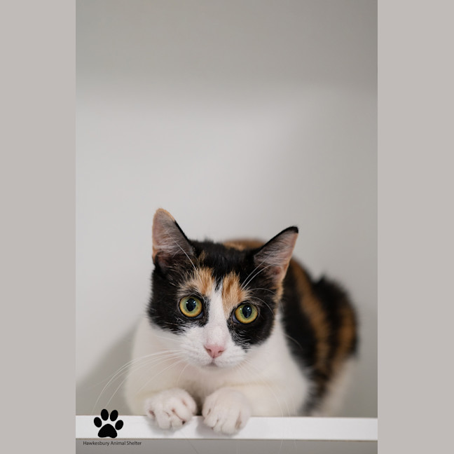 Photo of Sandy